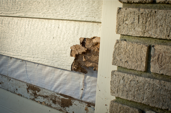 broken, crumbling corner of siding