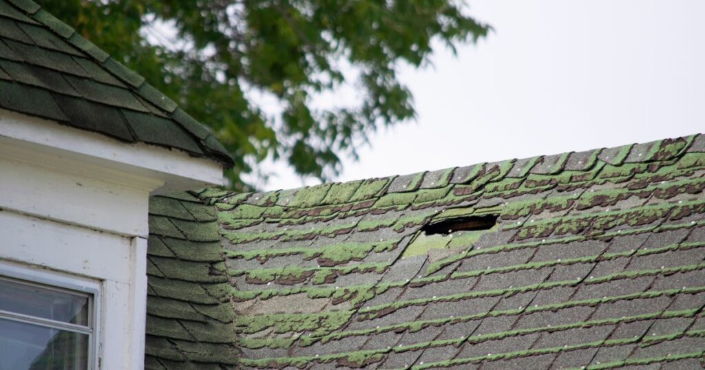 roof with cracks, moss, and algae on shingles