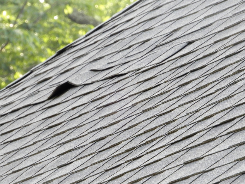 Improper roof repairs can cause lifting shingles, shown in this image, an asphalt shingle lifting from the others.