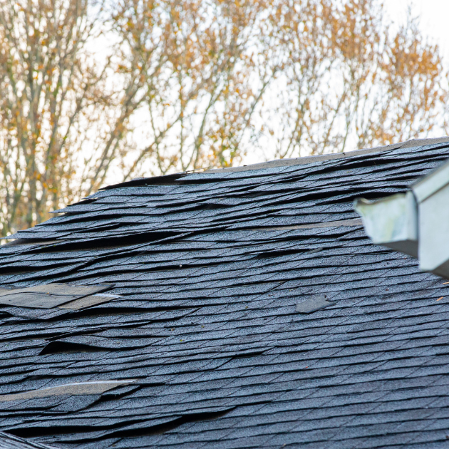 roof with lifting asphalt shingles