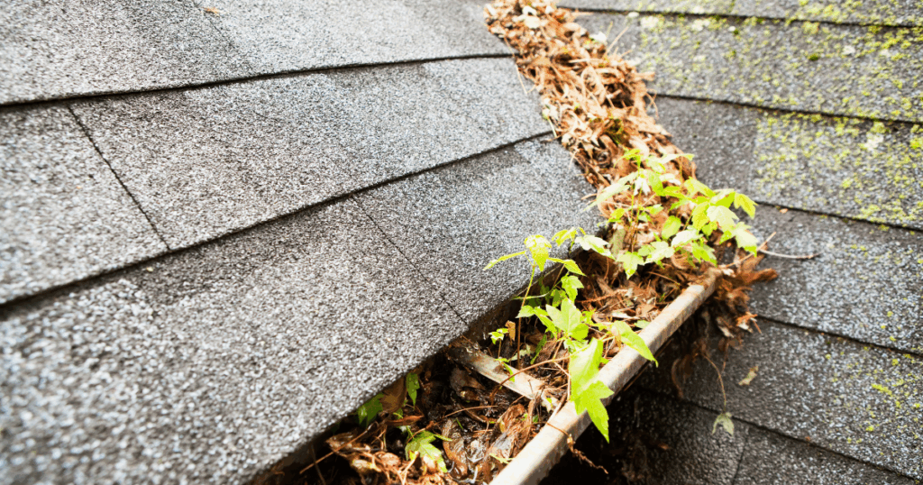 clogged gutters on asphalt shingle roof
