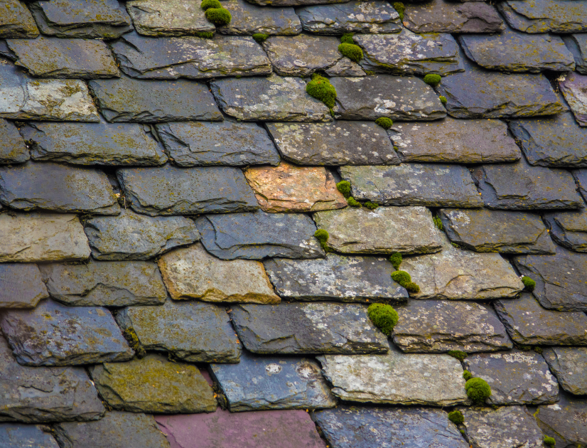 slate roof with a variety of stone color and texture