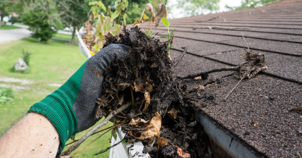 removing debris from edge or roof and gutters