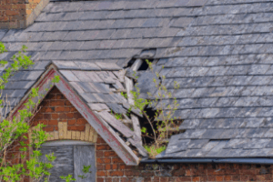 broken shingles, and flashing on a home's roof due to a fallen tree branch