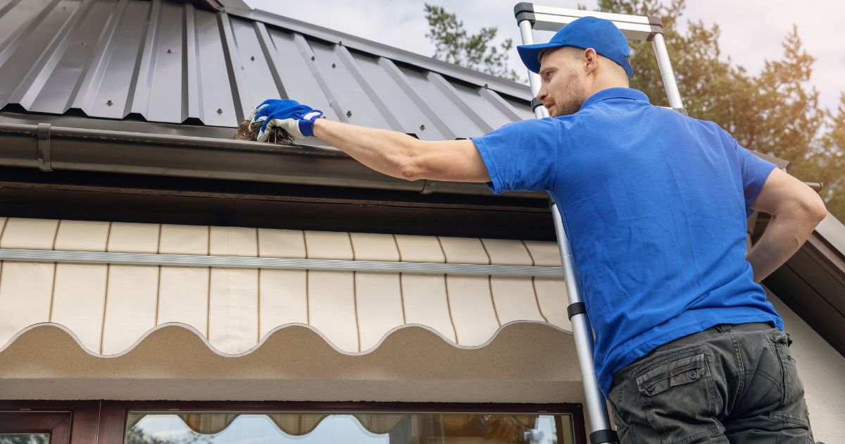 man checking gutters