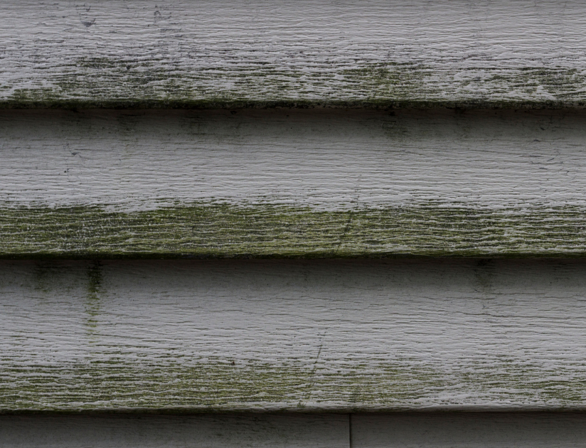 Dirty horizontal siding from mildew buildup.
